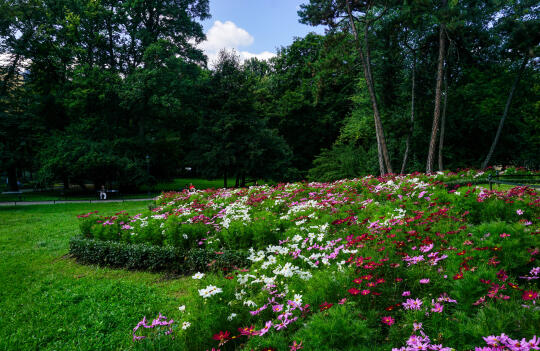 Klimat-Energia-Gospodarka Wodna