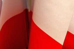 Święto Niepodległości, zmiany w kursowaniu autobusów i tramwajów