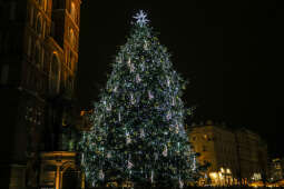 Energooszczędna choinka rozbłyśnie na Rynku Głównym 