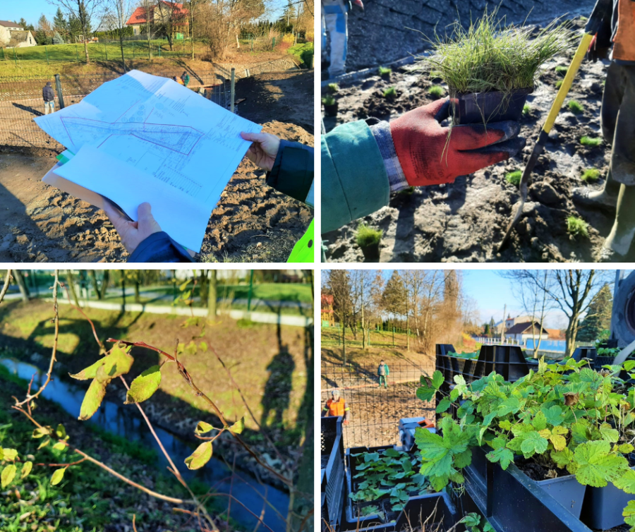 ul. lubocka, ogród deszczowy