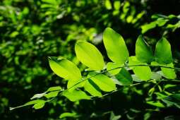 Zdecyduj, jak zmieni się plac Nowowiejski