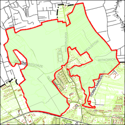 Plan dla Lasu Witkowickiego wkrótce dostępny