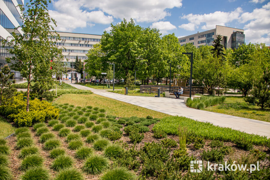 Kolejne miliony złotych na wykupy terenów zielonych