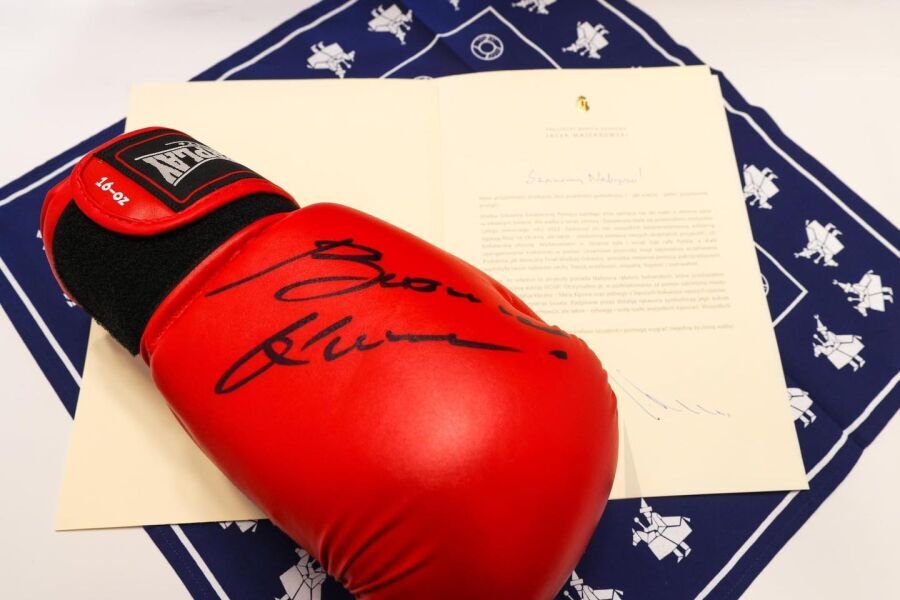 Vitali Klitchko's gloves for charity