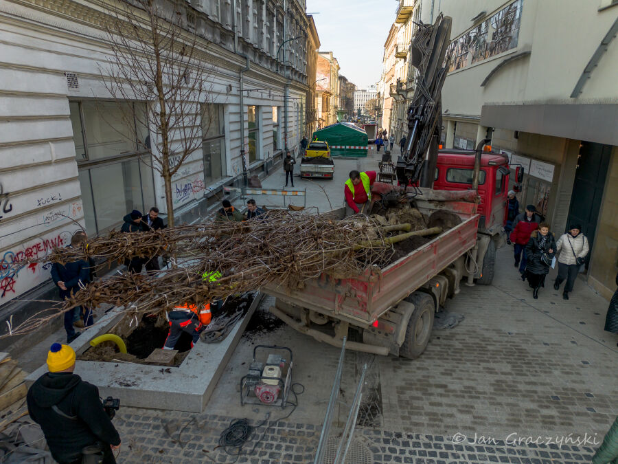 Sadzimy drzewa, ulica Krupnicza będzie zielona!