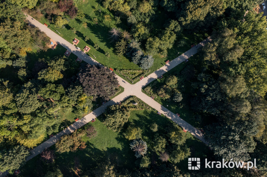 Nowa Huta zieleń park drzewa