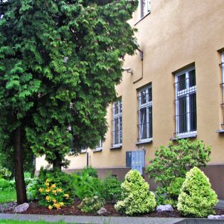 Placówki typu interwencyjnego przy ul. Naczelnej 12