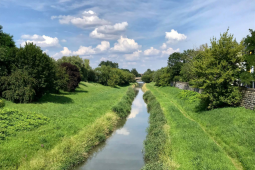 Prezydent wystąpił o informacje w sprawie zanieczyszczonej Wilgi