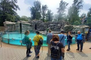 Wycieczka do ogrodu zoologicznego Uczestnicy obserwujący pingwiny