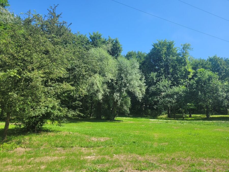 ogród płaszów, zieleń miejska, park rzeczny