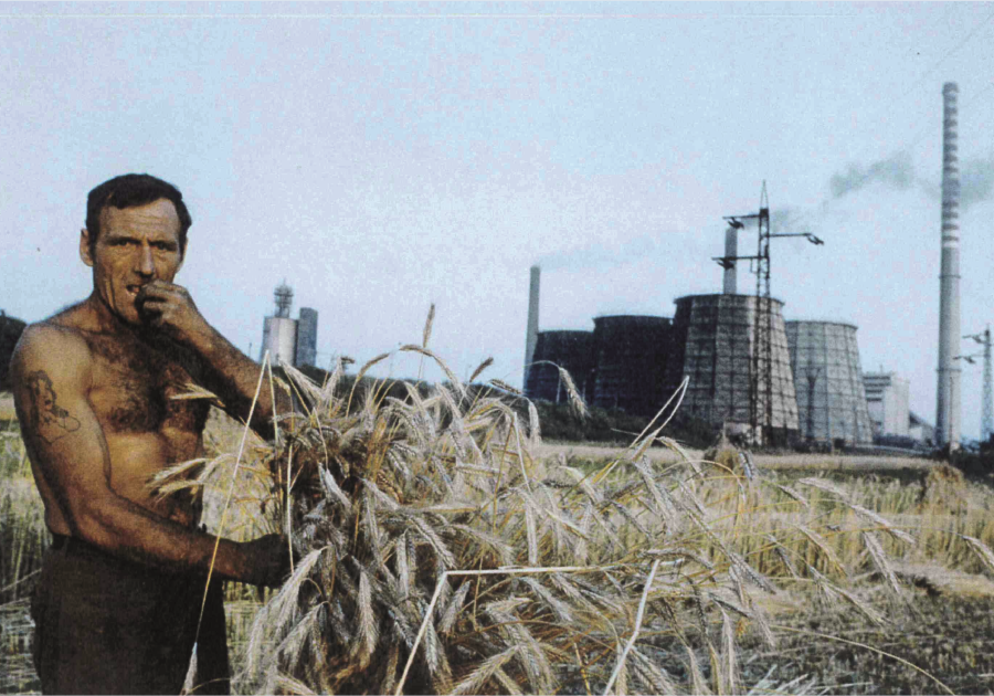 Harvest is nigh in Nowa Huta