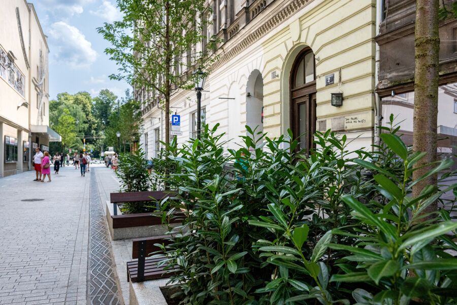 The newly green Krupnicza Street 