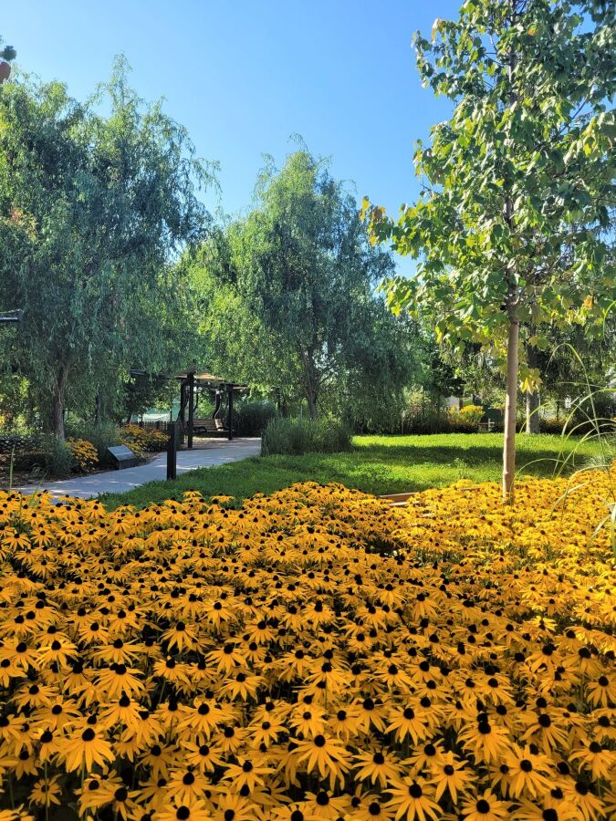 Zielona przystań Wzgórz Krzesławickich