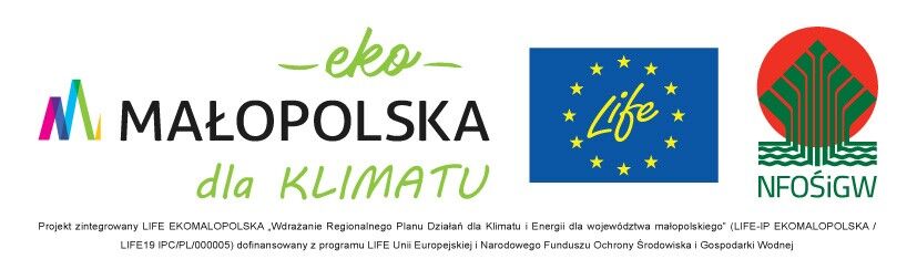 Logo EKOMAŁOPOLSKA