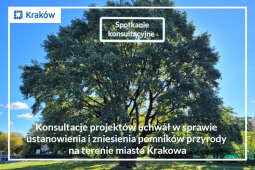 Pomniki przyrody w Krakowie – spotkanie z mieszkańcami