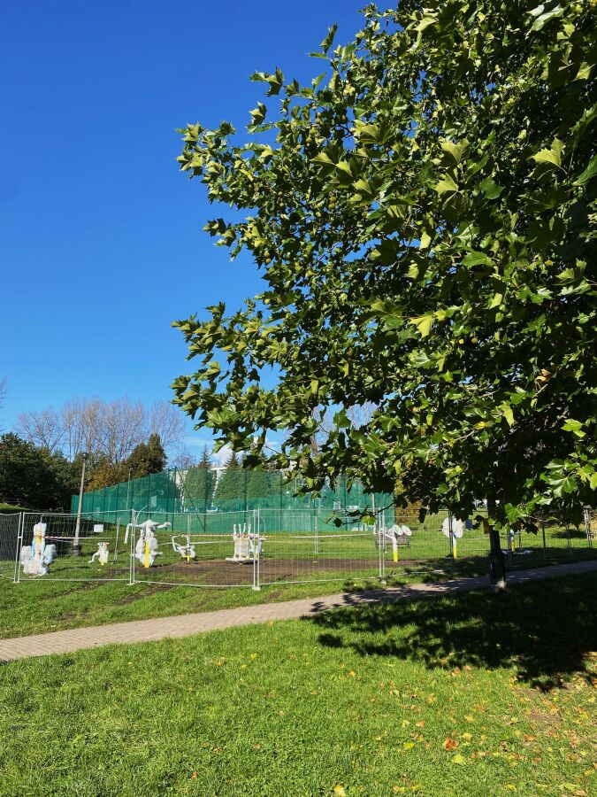 Rewitalizacja parku Zielony Jar Wandy 