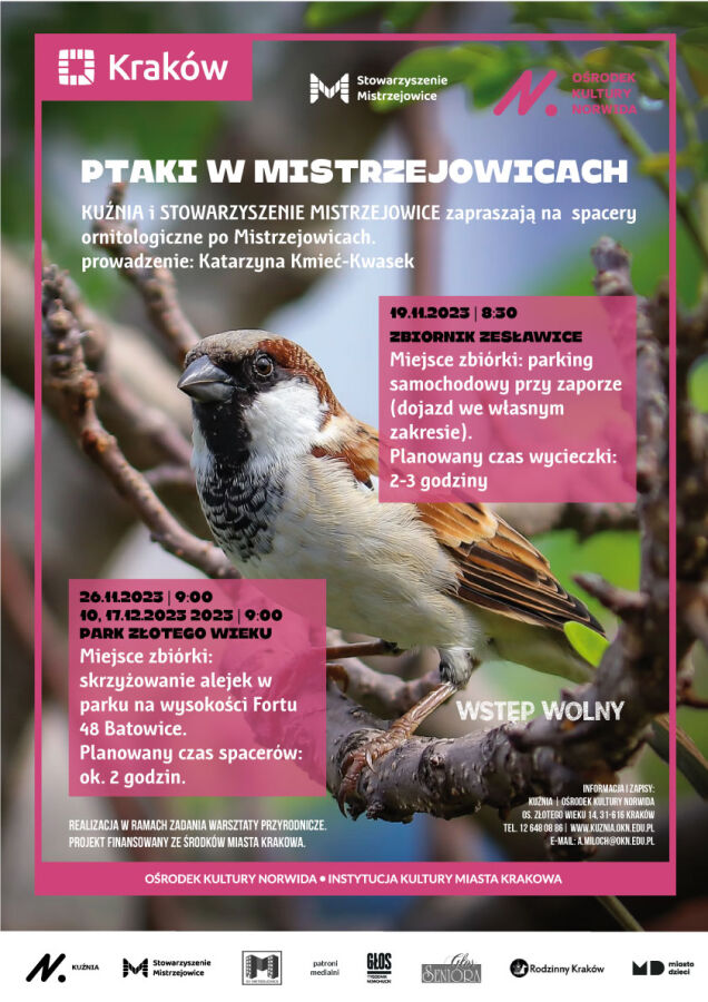 Jakie ptaki spotkacie w Mistrzejowicach