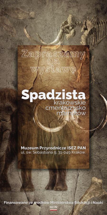 Wystawa o mamutach