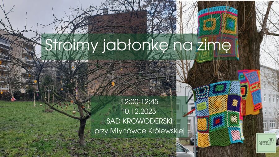 Przystrój jabłonkę na zimę