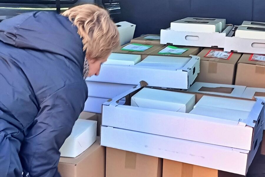 Widoczne pudła z paczkami świątecznymi ułożone w samochodzie dostawczym