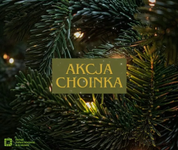 Daj drugie życie świątecznemu drzewku