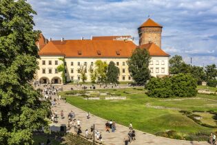 Wawel Ela Marchewka