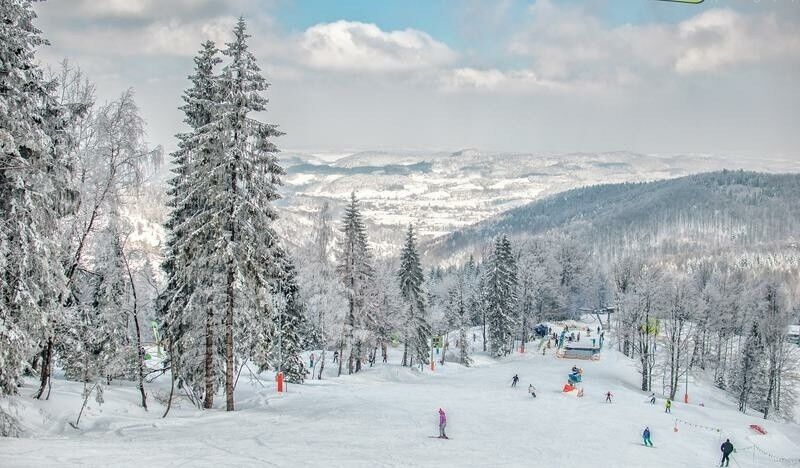 Stok w Mosornym Groniu