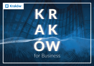 Krk for business