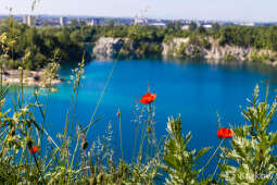 Miasto kupuje działki pod zieleń