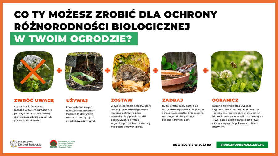 Bioróżnorodność 