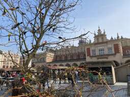 Kulturalna Wielkanoc w Krakowie