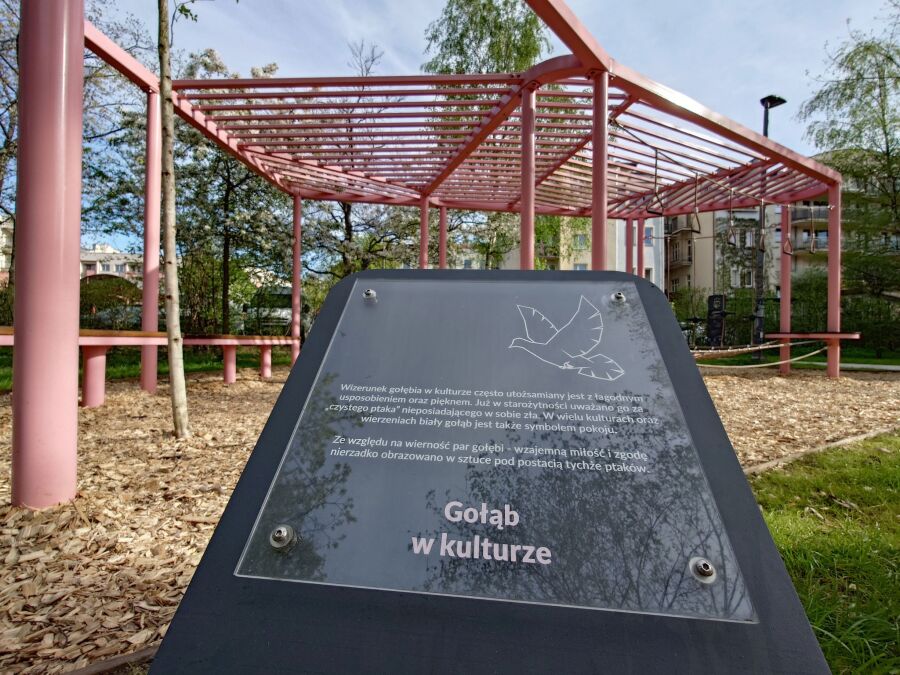 gołebi ogród krakowian, opis gołębia