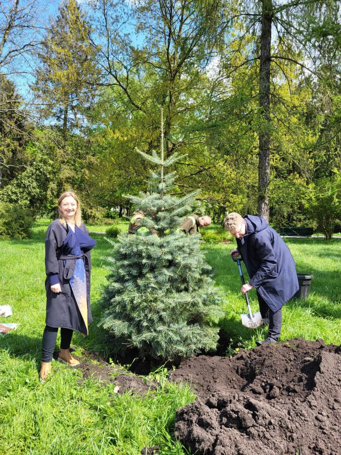 sadzenie drzew na 30-lecie sinfonietty w parku Jordana