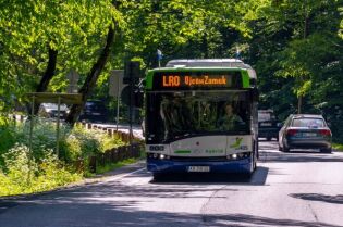 Autobusem do zoo i Ojcowa – kursy w długi weekend