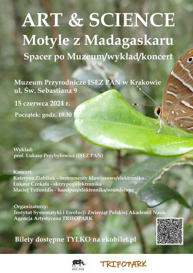 Motyle z Madagaskaru 