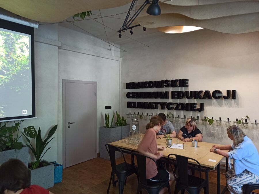 Warsztat Drzewo życia 2