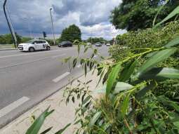 Roboty na ul. Kamieńskiego, zmiany w organizacji ruchu drogowego