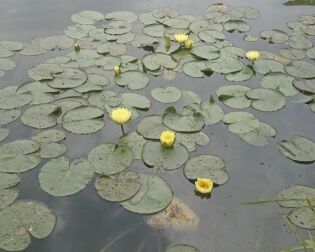 Kolejna wyprawa nad Zalew Nowohucki.