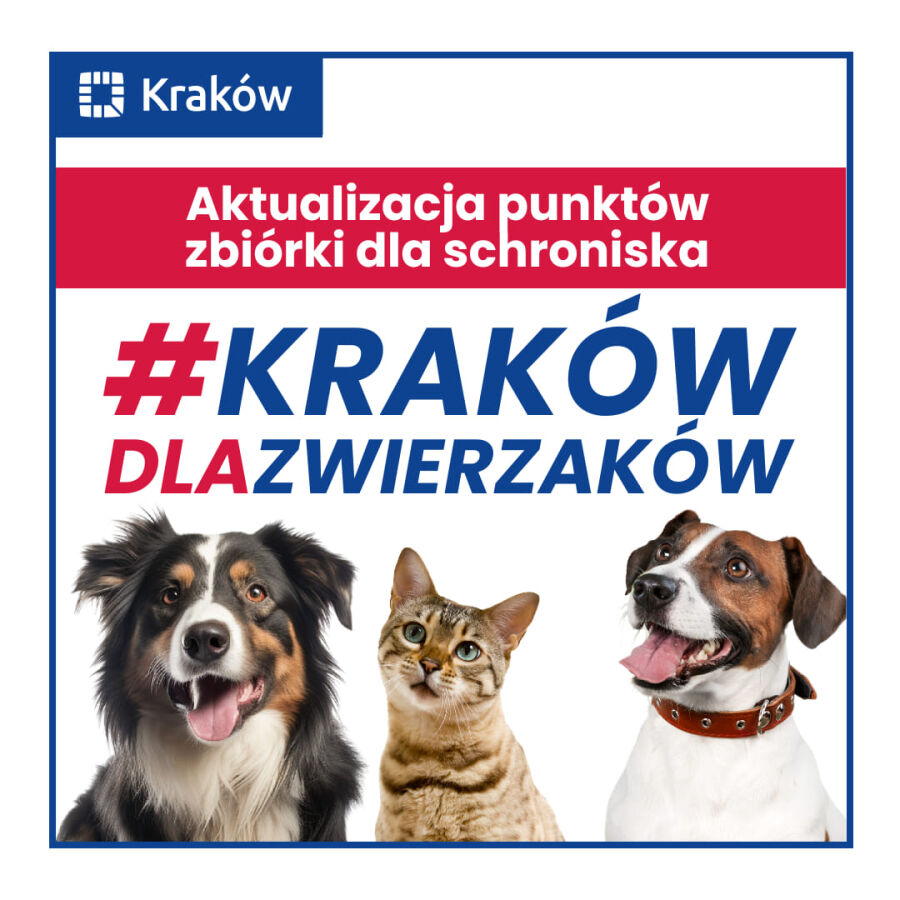 #KrakówDlaZwierzaków