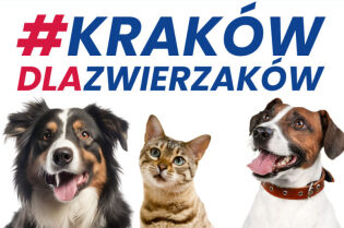 #KrakówDlaZwierzaków – ostatni dzień zbiórki #KrakówDlaZwierzaków