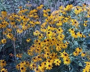 Trzecia wycieczka nad Zalew Nowohucki.