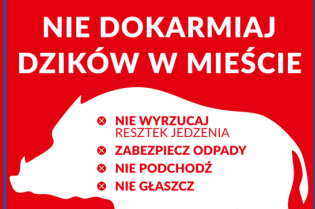 Dzikie zwierzęta. Fot. materiały prasowe