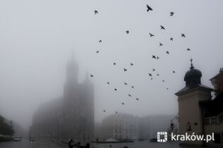 mgła, rynek, gołębie, mariacki. Fot. Bogusław Świerzowski / krakow.pl