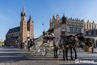 dorożki, postój dorożek, dorożka, listopad. Fot. Bogusław Świerzowski/krakow.pl