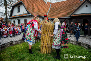 Osadzanie Chochoła. Fot. Bogusław Świerzowski / krakow.pl