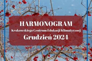 harmonogram. Fot. Krakowskie Centrum Edukacji Klimatycznej