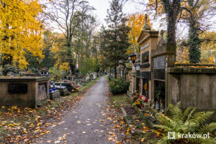 spacer po cmentarzu Rakowickim. Fot. Bogusław Świerzowski / krakow.pl