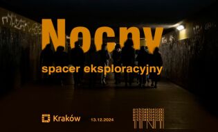 nocny spacer.jpg. Fot. Fudacja Architektoniczki