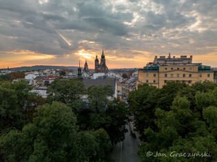 Zieleń planty drzewa centrum niebo. Fot. Jan Graczyński