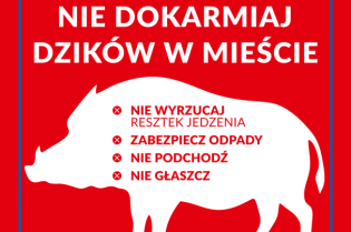 Dzikie zwierzęta. Fot. materiały prasowe